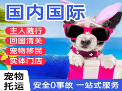 十堰武当山机场快递国际宠物托运 【国